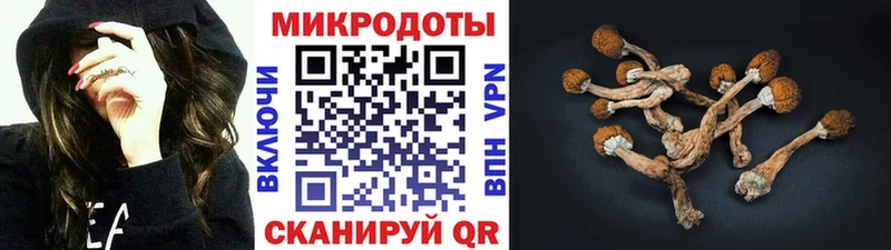 Псилоцибиновые грибы Magic Shrooms  как найти наркотики  Чишмы 