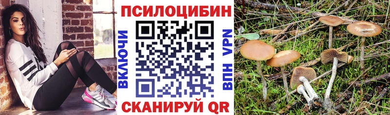 Псилоцибиновые грибы Cubensis Чишмы